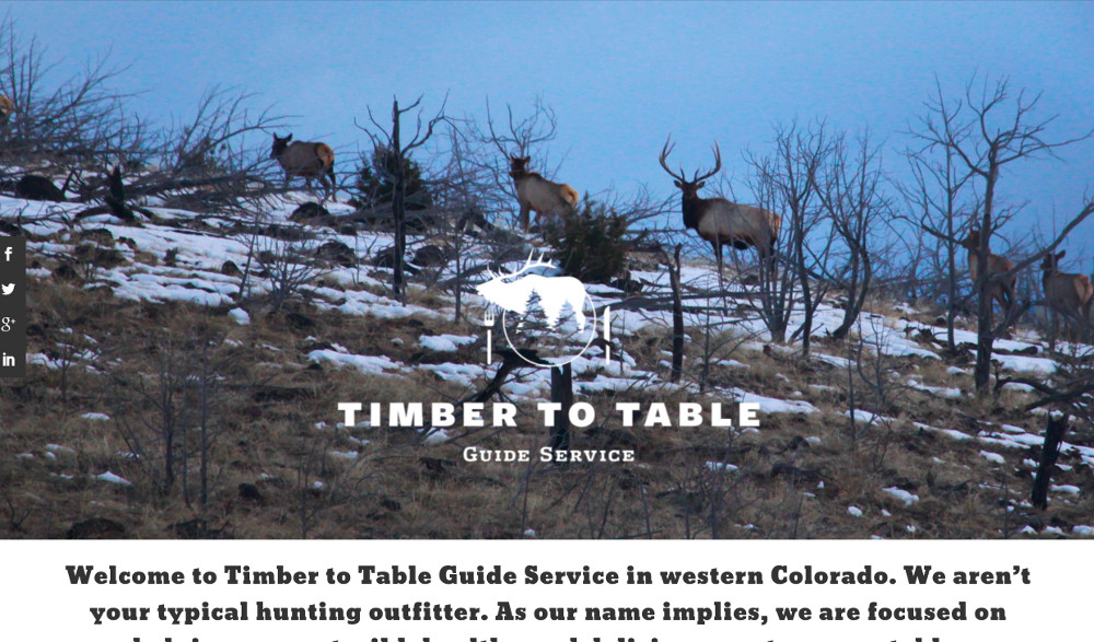 Timber to Table Guide Service